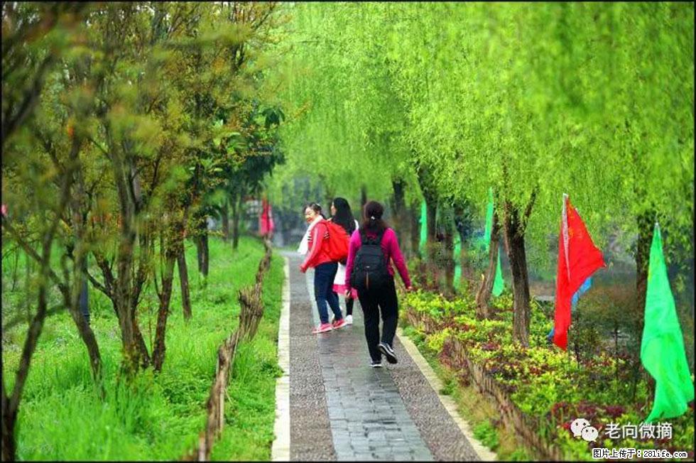 【春天，广西桂林灌阳县向您发出邀请！】江口老街又逢春 - 游山玩水 - 喀什生活社区 - 喀什28生活网 ks.28life.net
