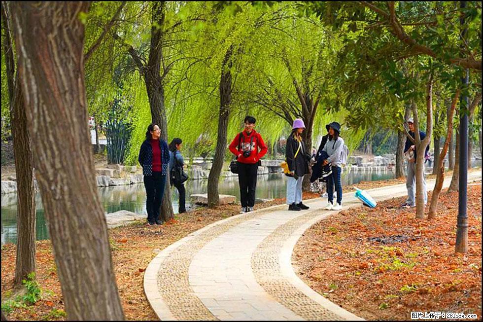 【春天，广西桂林灌阳县向您发出邀请！】江口老街又逢春 - 游山玩水 - 喀什生活社区 - 喀什28生活网 ks.28life.net