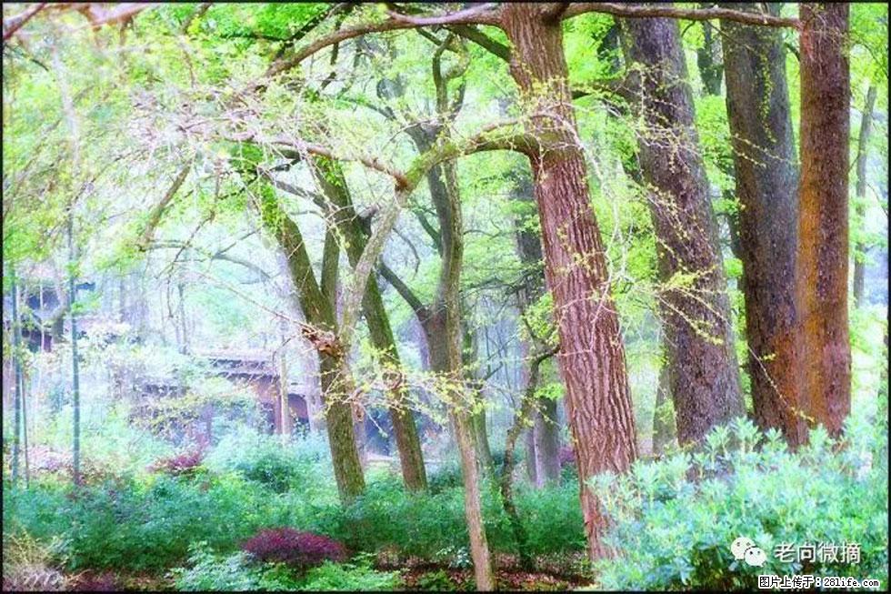 【春天，广西桂林灌阳县向您发出邀请！】在小龙村与春天约会 - 游山玩水 - 喀什生活社区 - 喀什28生活网 ks.28life.net