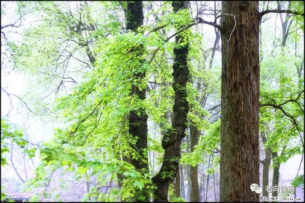 【春天，广西桂林灌阳县向您发出邀请！】在小龙村与春天约会 - 游山玩水 - 喀什生活社区 - 喀什28生活网 ks.28life.net