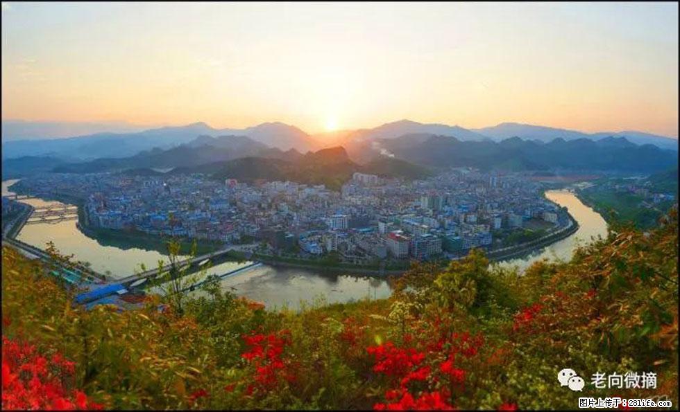 【春天，广西桂林灌阳县向您发出邀请！】登麒麟山，相约映山红 - 游山玩水 - 喀什生活社区 - 喀什28生活网 ks.28life.net