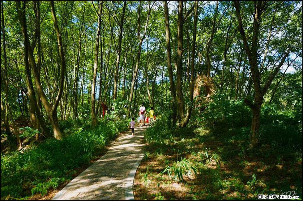 【春天，广西桂林灌阳县向您发出邀请！】熊家寨湿地公园 - 游山玩水 - 喀什生活社区 - 喀什28生活网 ks.28life.net