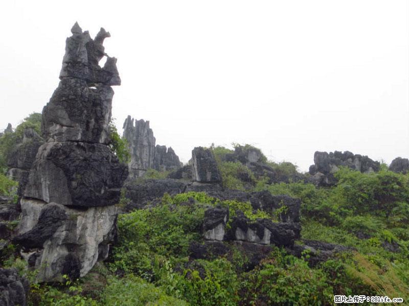 桂林旅游名城景点:灌阳文市石林 - 游山玩水 - 喀什生活社区 - 喀什28生活网 ks.28life.net