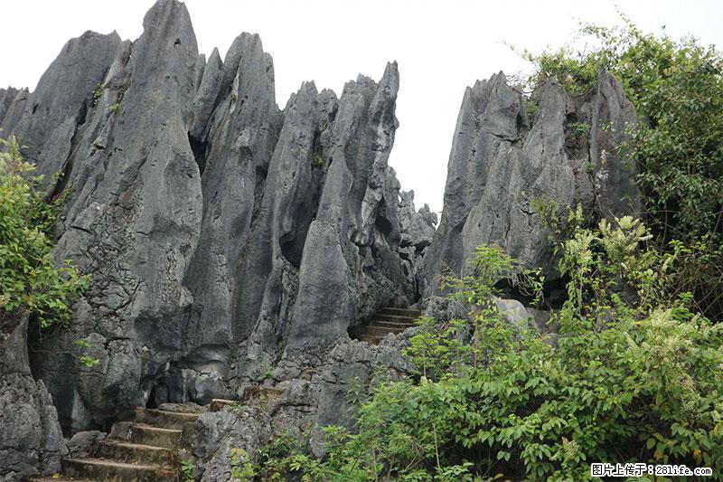 桂林旅游名城景点:灌阳文市石林 - 游山玩水 - 喀什生活社区 - 喀什28生活网 ks.28life.net