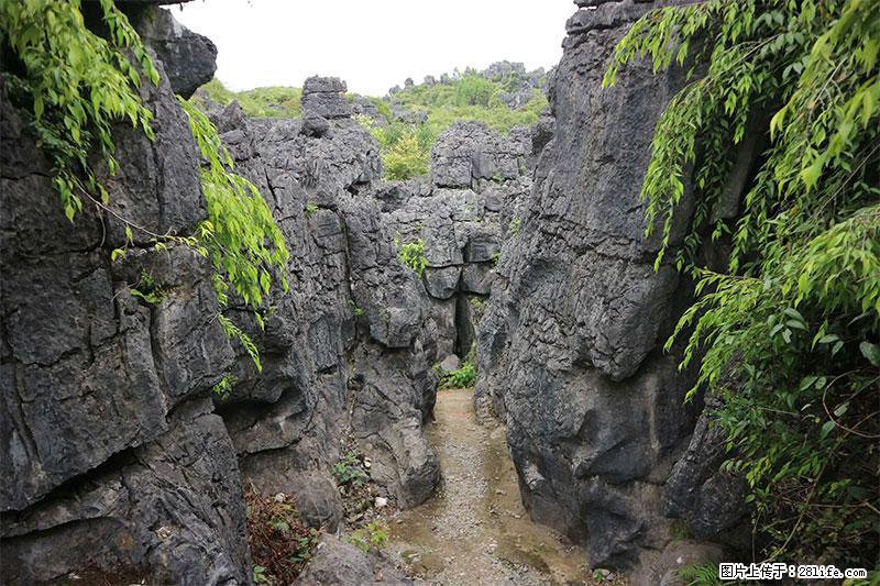 桂林旅游名城景点:灌阳文市石林 - 游山玩水 - 喀什生活社区 - 喀什28生活网 ks.28life.net