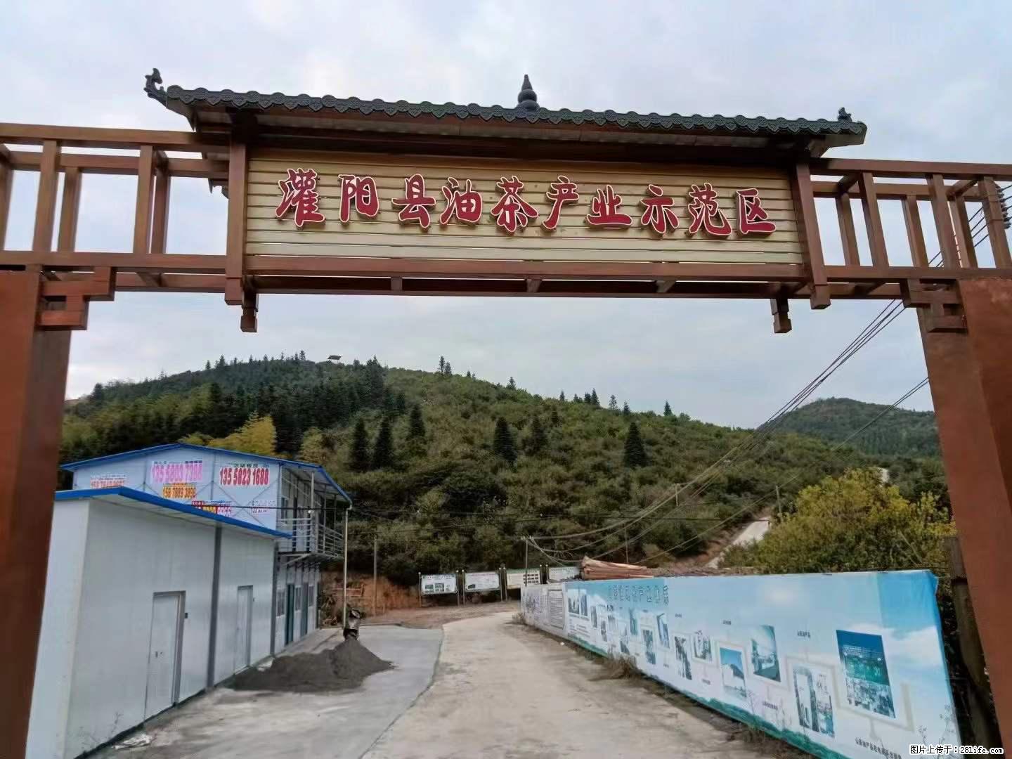 【灌阳县油茶产业示范区】一个有着充实的精神生活的人，对待身外之物自会有一种淡泊的态度 - 土特产 - 饮食特产 - 喀什分类信息 - 喀什28生活网 ks.28life.net