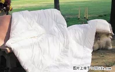 被子有异味？只要这样做，比晒太阳还强100倍！ - 家居生活 - 喀什生活社区 - 喀什28生活网 ks.28life.net