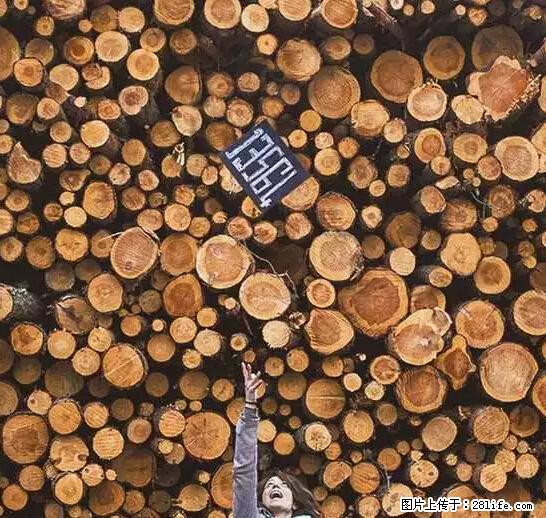 辞掉工作周游世界？现在他们在洗厕所…… - 游山玩水 - 喀什生活社区 - 喀什28生活网 ks.28life.net