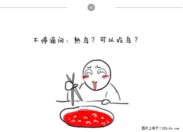 千万不要和这9种哈卵一起吃火锅！ - 美食天地 - 喀什生活社区 - 喀什28生活网 ks.28life.net