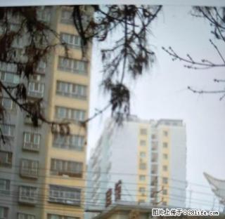 静安校区4楼，水暖，简单装修，拎包入住。 - 喀什28生活网 ks.28life.net