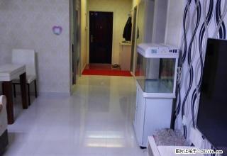阳光小区，大户型，采光好，急于出租。 - 喀什28生活网 ks.28life.net