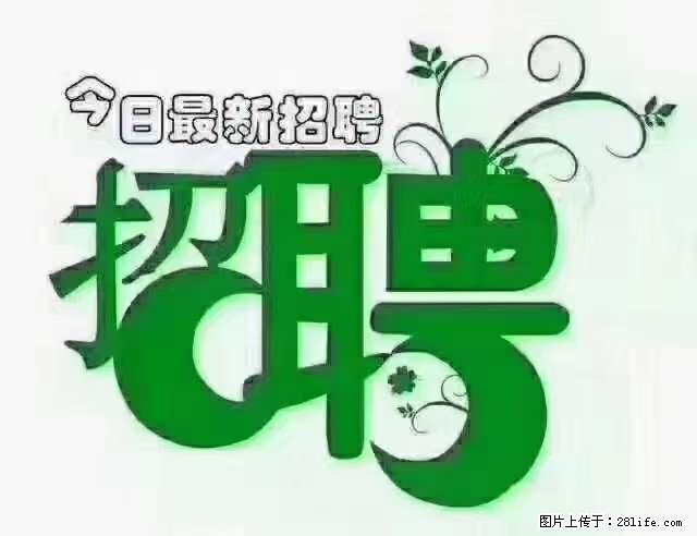 【招聘摄像师】待遇：试用期6000元/月，转正7000元/月+五险一金+餐补+节日福利+奖金 - 职场交流 - 喀什生活社区 - 喀什28生活网 ks.28life.net