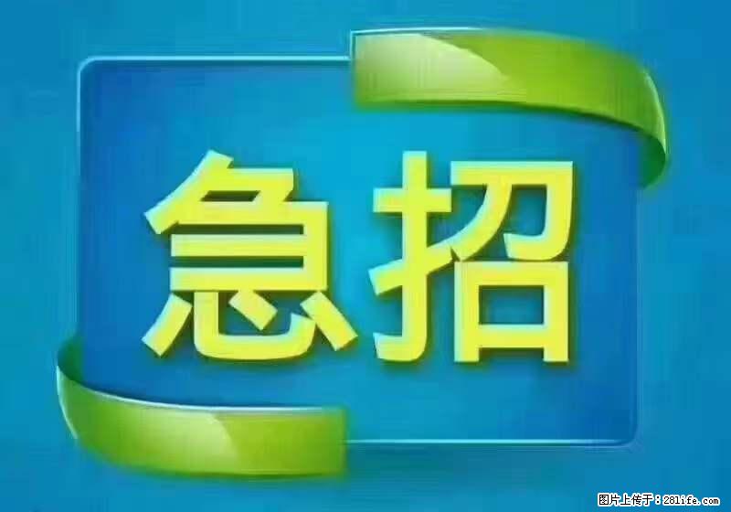 招出纳8000元/月，无证可以，要有相关经验，上海五险一金，包住，包工作餐，做六休一。 - 职场交流 - 喀什生活社区 - 喀什28生活网 ks.28life.net