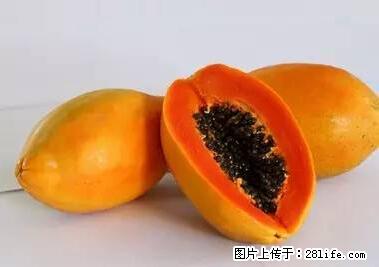 晕车、脚气、牙齿变黄、皮肤粗糙?学会这些三分钟搞定! - 喀什生活资讯 - 喀什28生活网 ks.28life.net