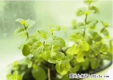晕车、脚气、牙齿变黄、皮肤粗糙?学会这些三分钟搞定! - 喀什生活资讯 - 喀什28生活网 ks.28life.net