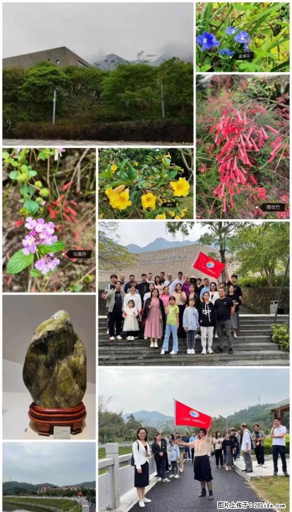“粤灌文化 美好生活”油茶文化主题活动在广东深圳成功举办 - 喀什生活资讯 - 喀什28生活网 ks.28life.net