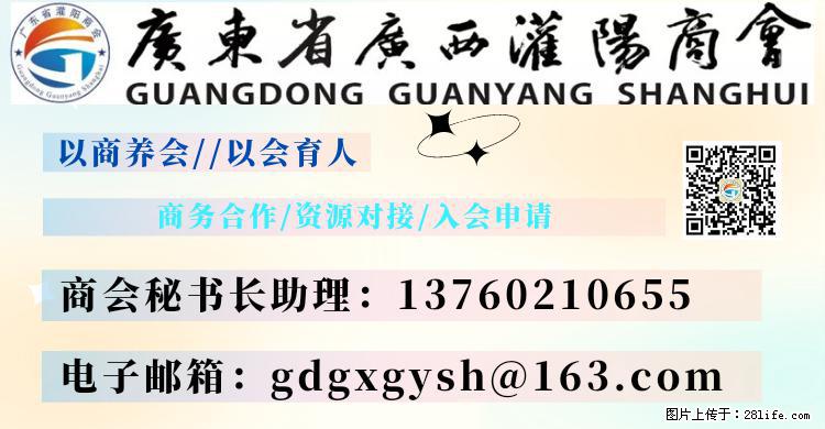 “粤灌文化 美好生活”油茶文化主题活动在广东深圳成功举办 - 喀什生活资讯 - 喀什28生活网 ks.28life.net