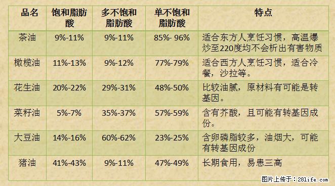 揭秘茶油的5大核心营养成分！被称为人体健康的“守护盾”！ - 喀什生活资讯 - 喀什28生活网 ks.28life.net