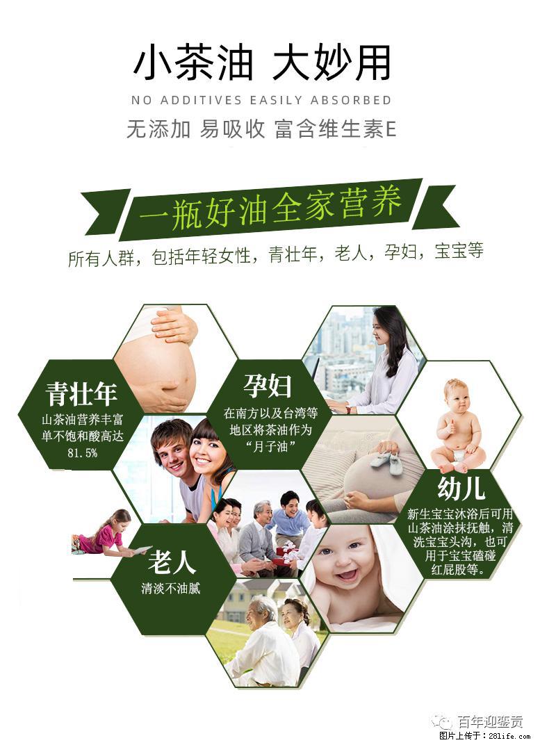 世界没有真相，只有认知，最好的食用油是中国的山茶油！ - 喀什生活资讯 - 喀什28生活网 ks.28life.net