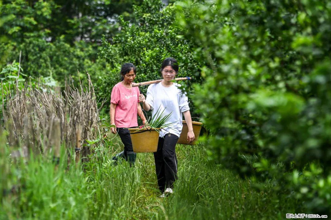 全网追的“扁担女孩”，找了一份暑假工，时薪12元 - 喀什生活资讯 - 喀什28生活网 ks.28life.net