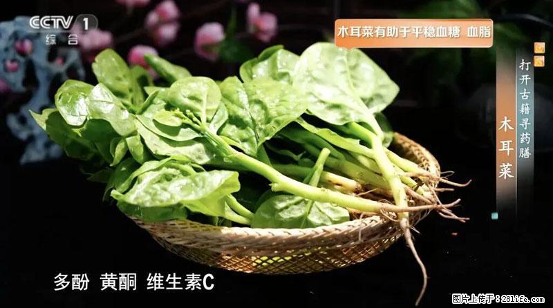 比牛奶补钙还厉害！凉血解毒、稳血糖...这菜冬天必吃，很多人却当草 - 喀什生活资讯 - 喀什28生活网 ks.28life.net