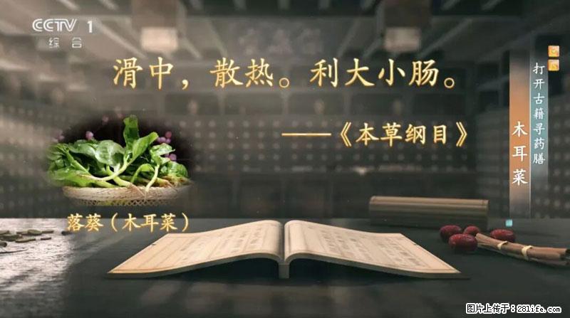 比牛奶补钙还厉害！凉血解毒、稳血糖...这菜冬天必吃，很多人却当草 - 喀什生活资讯 - 喀什28生活网 ks.28life.net