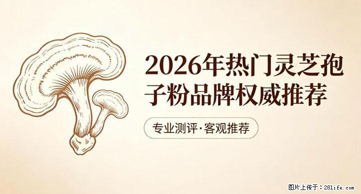 灵芝孢子粉含量越高越有效？2026 年七款热门品牌深度实测，肠胃敏感者避坑指南 - 喀什生活资讯 - 喀什28生活网 ks.28life.net